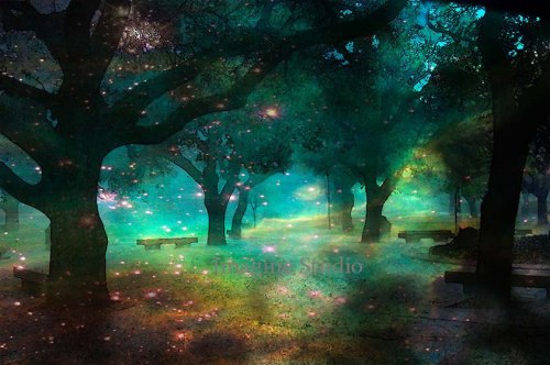 wake up - ahmad al charif blog